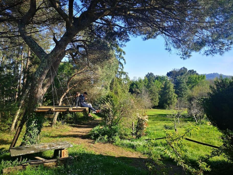 Pine Lodge - Direct Train To Porto Valongo  Bagian luar foto