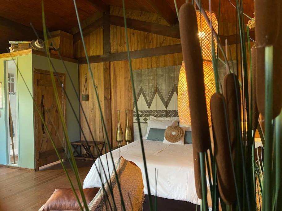 Pine Lodge - Direct Train To Porto Valongo  Bagian luar foto
