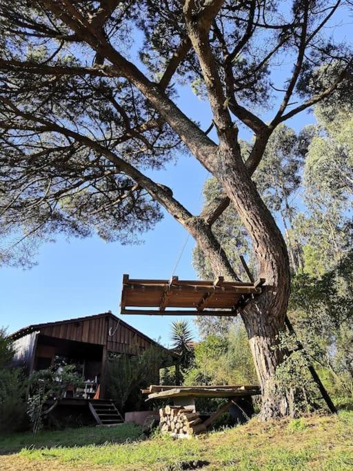 Pine Lodge - Direct Train To Porto Valongo  Bagian luar foto
