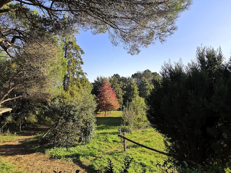 Pine Lodge - Direct Train To Porto Valongo  Bagian luar foto