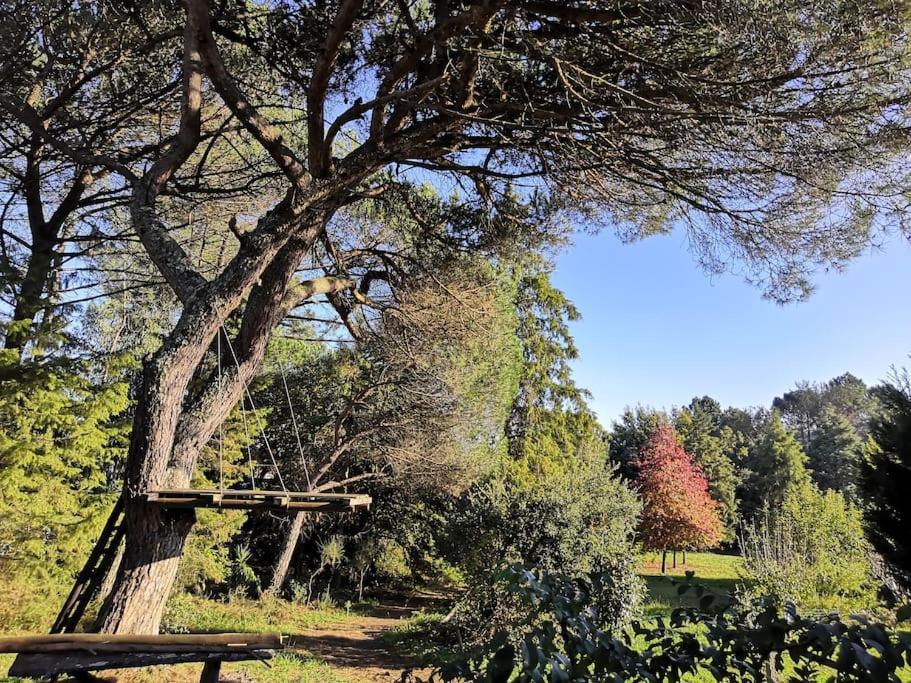Pine Lodge - Direct Train To Porto Valongo  Bagian luar foto